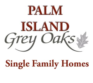 Palm Island